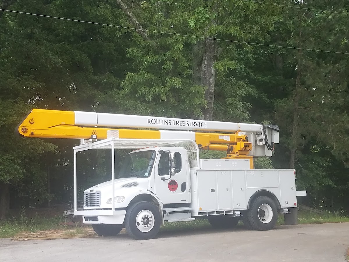 Rollins Tree Service, photographed by a Google contributor