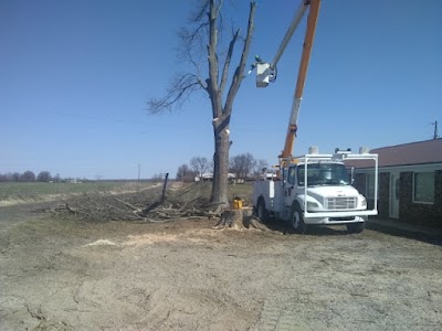Rollins Tree Service, photographed by a Google contributor