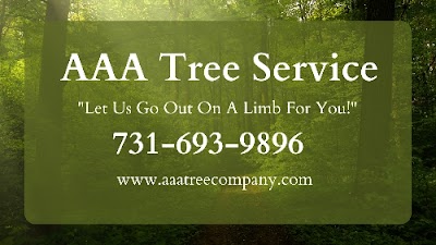 AAA Tree Service, photographed by a Google contributor