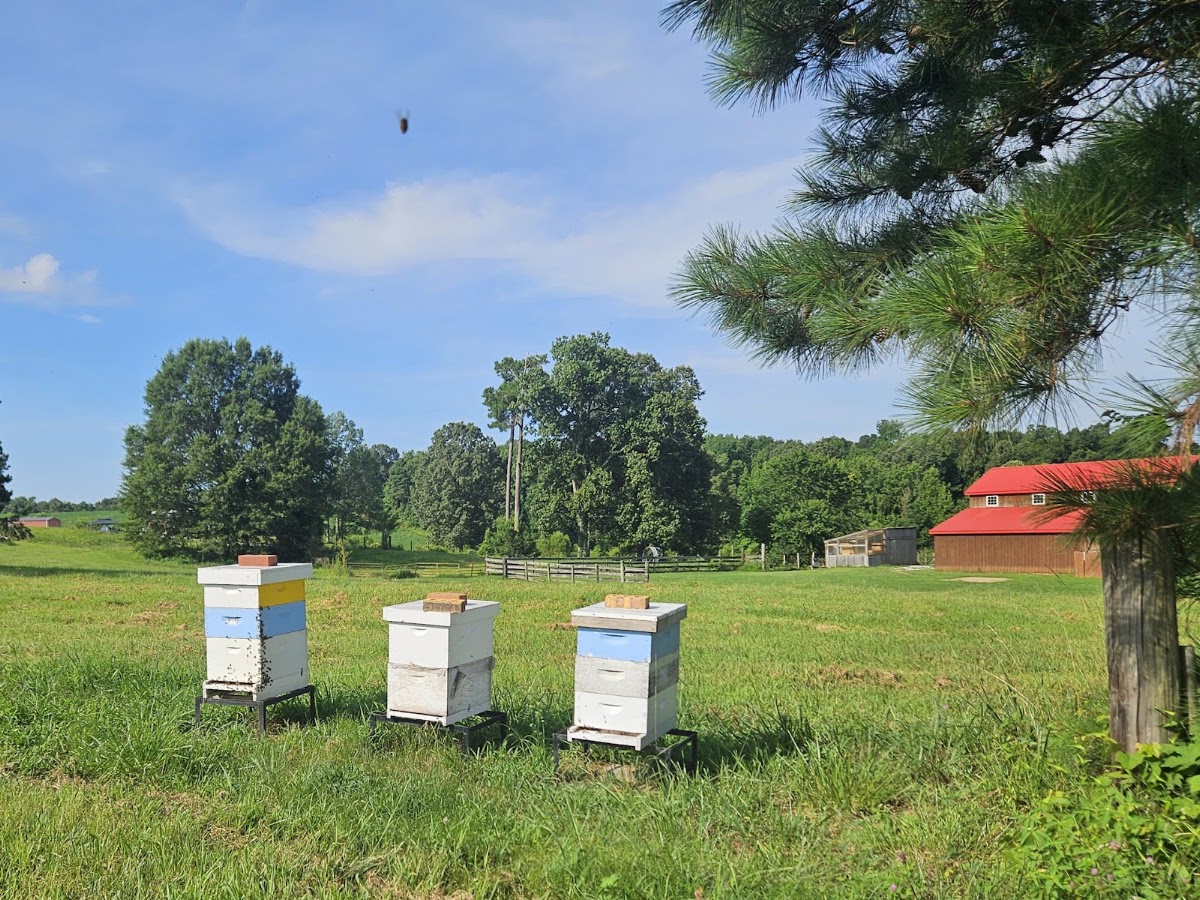 Cowen Blackberry Farms, photographed by a Google contributor