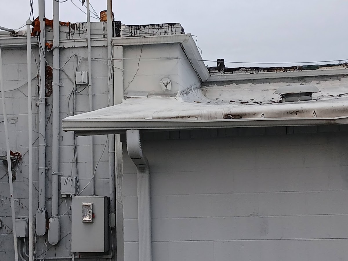 Tire Distributors Warehouse, photographed by a Google contributor