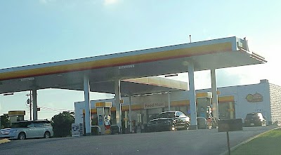 Shell, photographed by a Google contributor